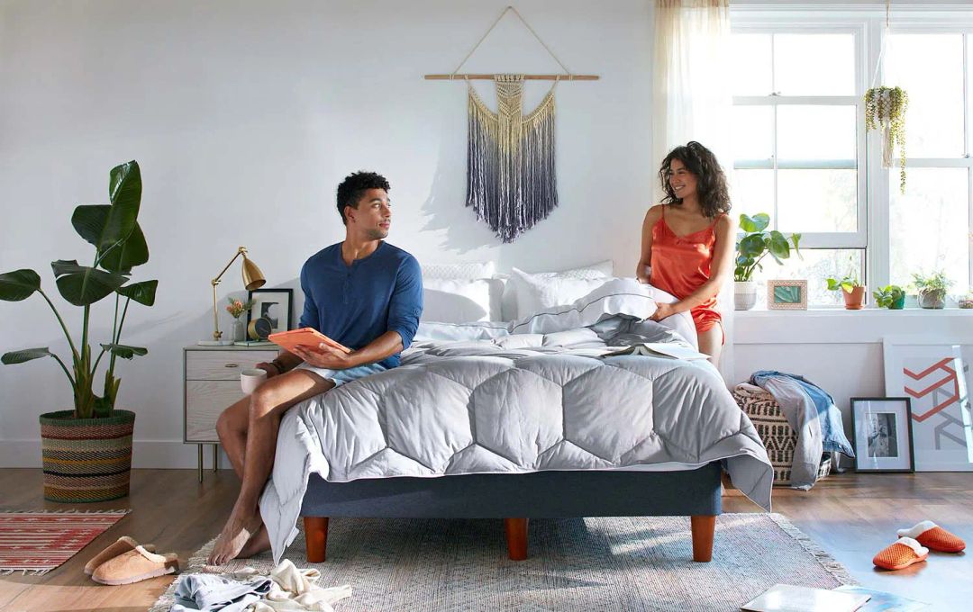 Down vs. Down Alternative: Which Comforter is Best for You?