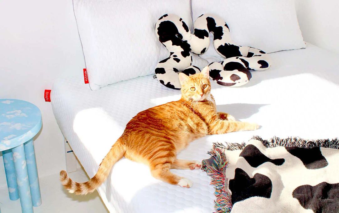 How to Deodorize a Mattress: Removing Sweat and Odors Fast