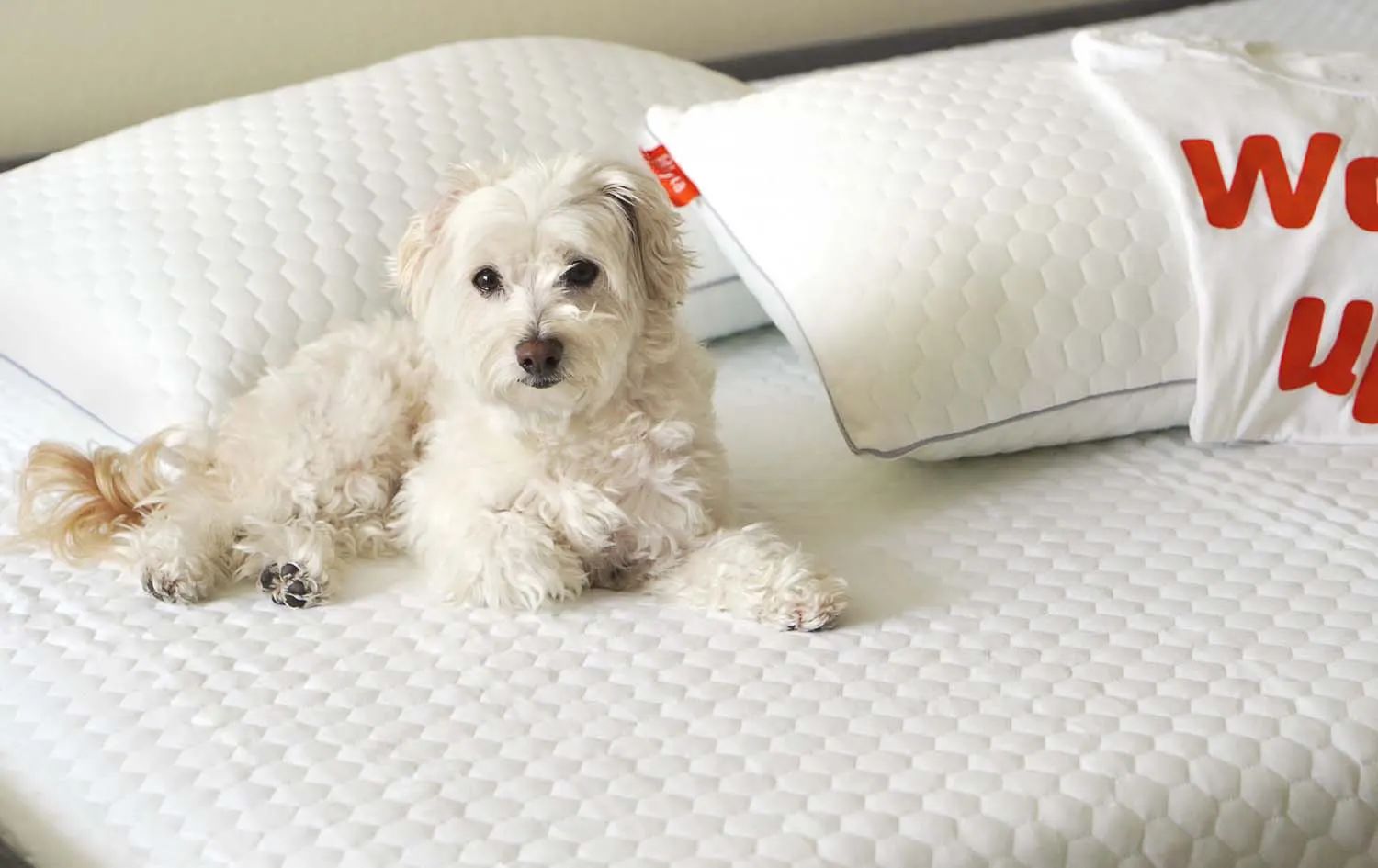 How to Prevent Nighttime Allergies: Causes and Relief Tips