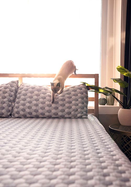 Exercise Before Bed: Is It Good or Bad for Your Sleep Quality?