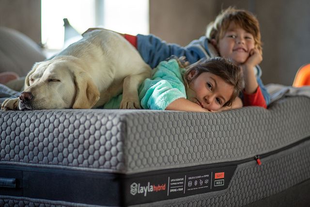 The Best Mattress for Stomach Sleepers: Firmness & Support Guide