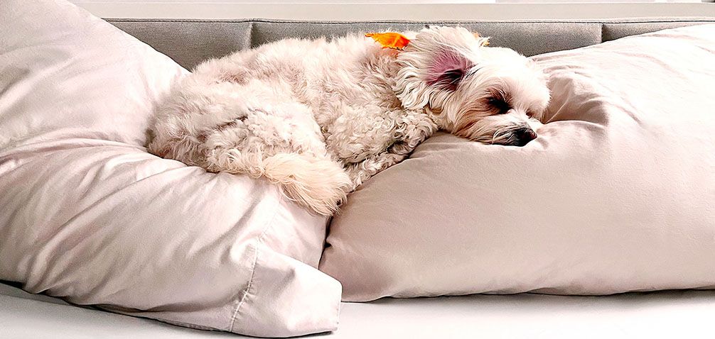 The Best AC Temperature for Sleeping During the Summer Months