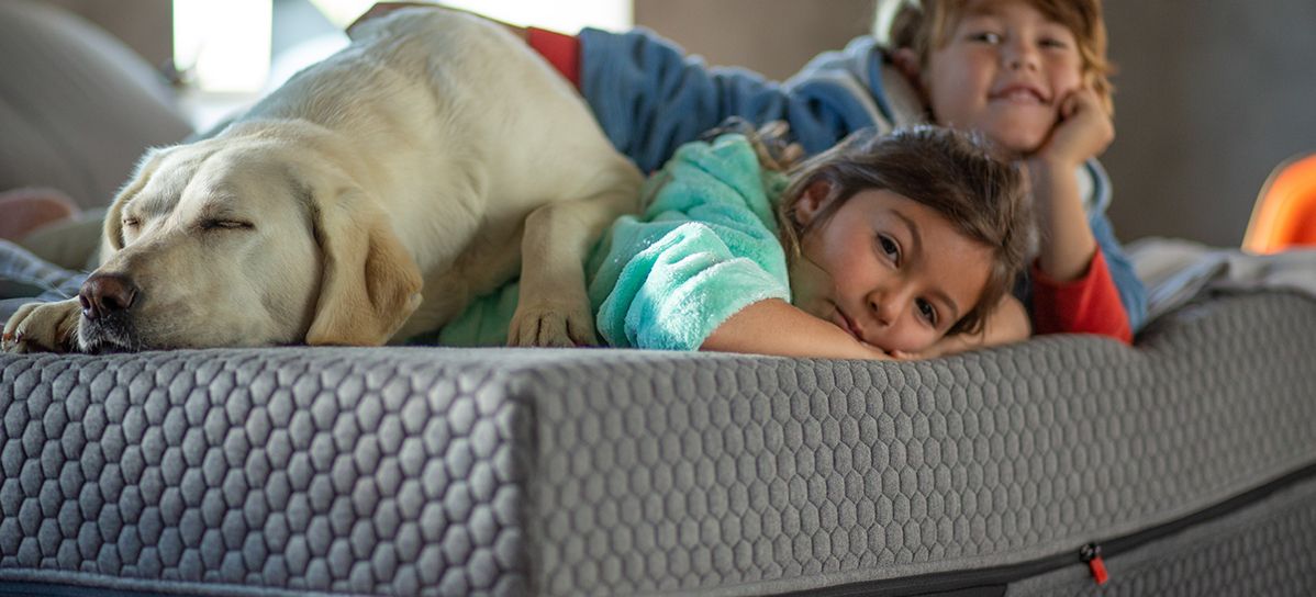 Accidental damage protection for mattresses & bases.